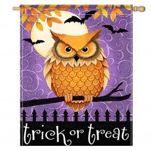 Owls Bats Halloween House Flag Home Decoration